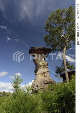 ASIA THAILAND ISAN UBON RATCHATHANI 37985353