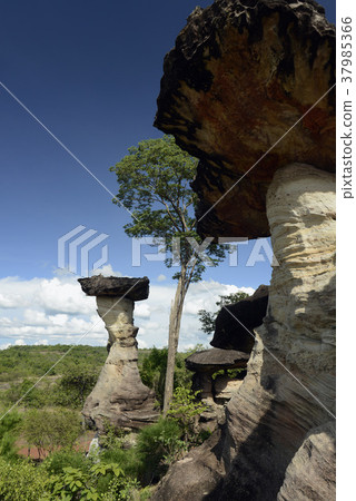 ASIA THAILAND ISAN UBON RATCHATHANI 37985366