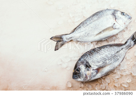 Fresh uncooked dorado Fresh uncooked dorado 37986090