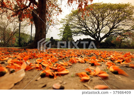 ASIA THAILAND ISAN  KHORAT 37986409