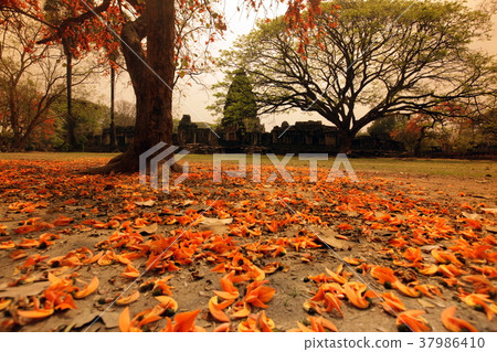 ASIA THAILAND ISAN  KHORAT 37986410