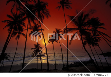 ASIA INDIA GOA 37986775