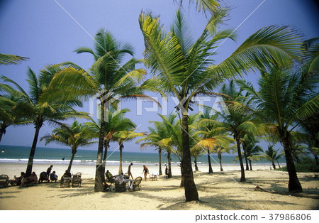 ASIA INDIA GOA ASIA INDIA GOA 37986806