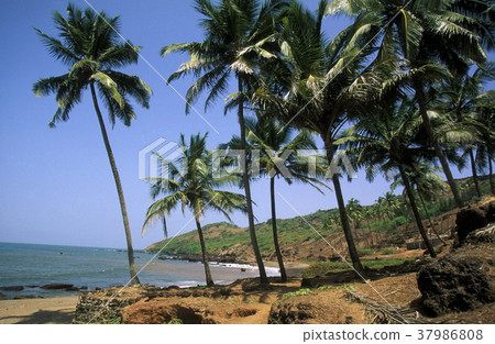 ASIA INDIA GOA ASIA INDIA GOA 37986808