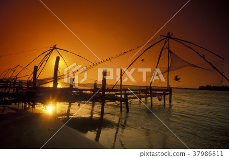ASIA INDIA KERALA 37986811