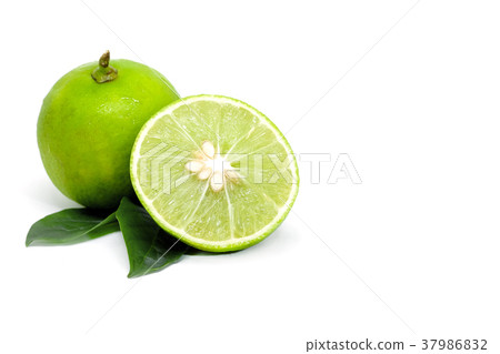 Green Lime fruit slice on white background Green Lime fruit slice on white background 37986832