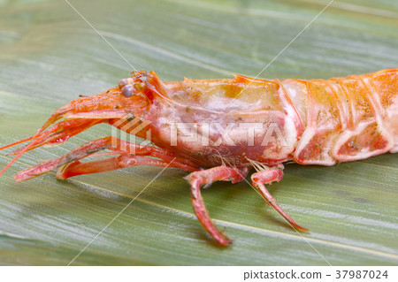 Mosa shrimp Mosa shrimp 37987024
