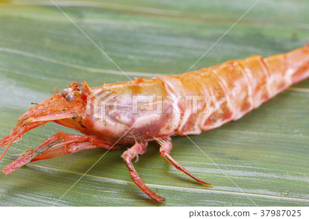 Mosa shrimp 37987025