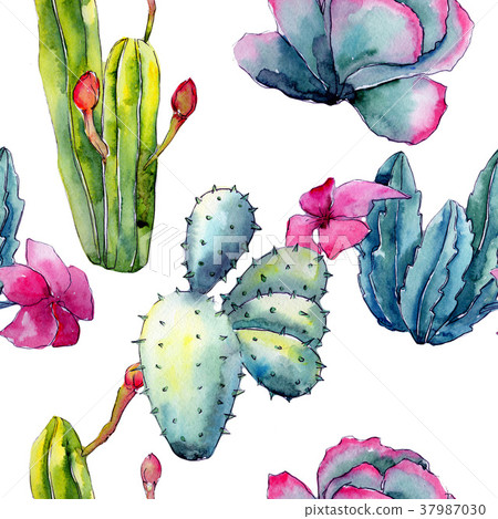 Exotic wildflower cactus pattern in a watercolor 37987030