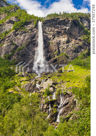 Giant Kjosfossen waterfall, Flam to Myrdal Railway Giant Kjosfossen waterfall, Flam to Myrdal Railway 37987298