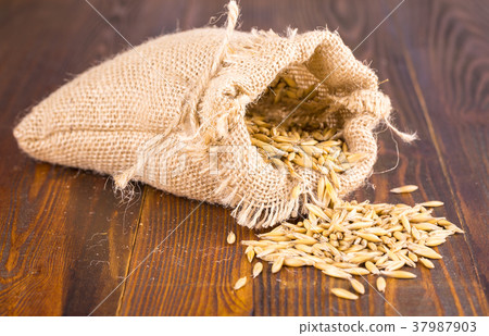 Oat ears stems and burlap bag Oat ears stems and burlap bag 37987903