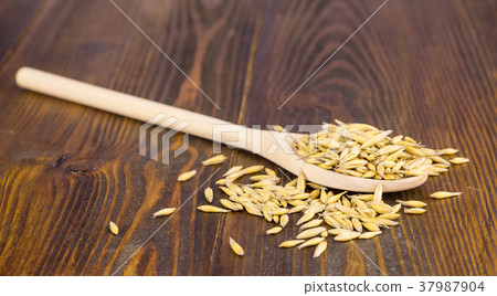 Oat ears stems and spoon Oat ears stems and spoon 37987904