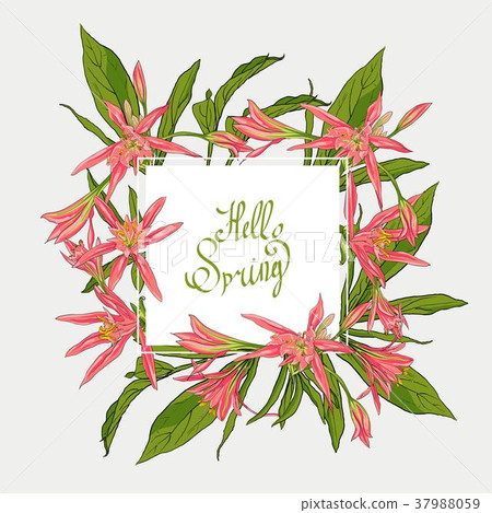 Flowers Lilies square frame, hello spring Flowers Lilies square frame, hello spring 37988059