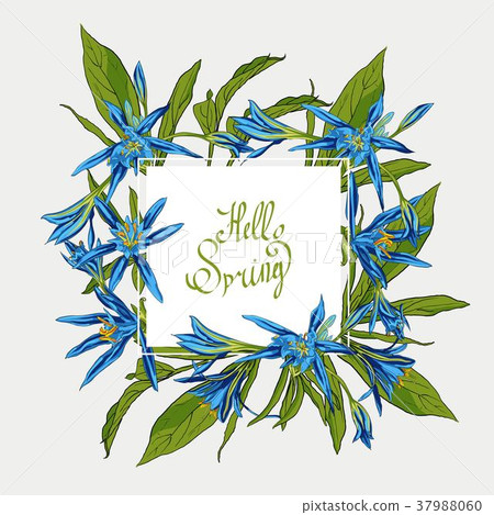 Flowers Lilies square frame, hello spring Flowers Lilies square frame, hello spring 37988060