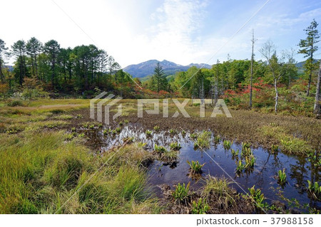 Norikura / Autumn Norikura / Autumn 37988158