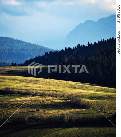 evening sun on mountain meadows evening sun on mountain meadows 37988310
