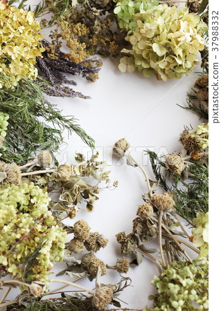 Dried flowers arranged like a frame Dried flowers arranged like a frame 37988332