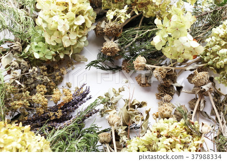 Dried flowers arranged like a frame 37988334