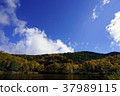 Kido pond, autumn 37989115