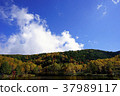 Kido pond, autumn 37989117