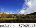 Kido pond, autumn 37989118