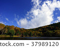 Kido pond, autumn 37989120