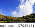 Kido pond, autumn 37989121