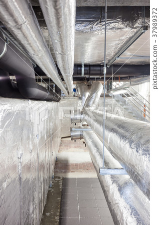 The technical area 37989372