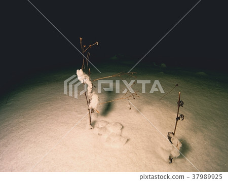 The grass is covered with snow. 37989925