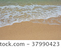 一個海灘 37990423