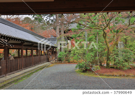 the Shinsho gokuraku ji garden at fall the Shinsho gokuraku ji garden at fall 37990649