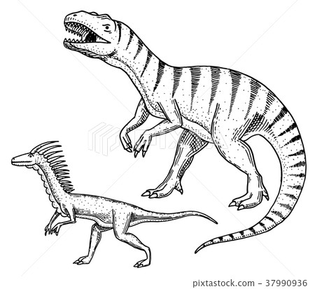 Dinosaurs Tyrannosaurus rex, Velociraptor 37990936