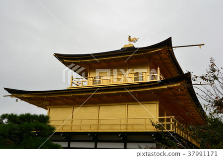 Kinkakuji Kinkakuji 37991171