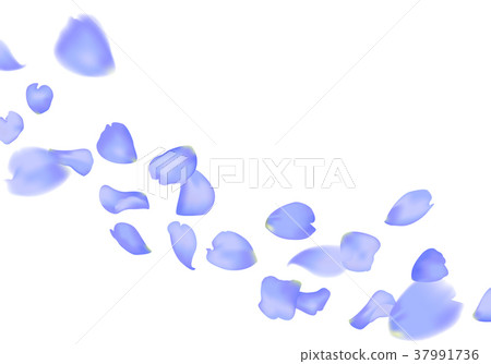 blue sakura or rose falling petals 37991736