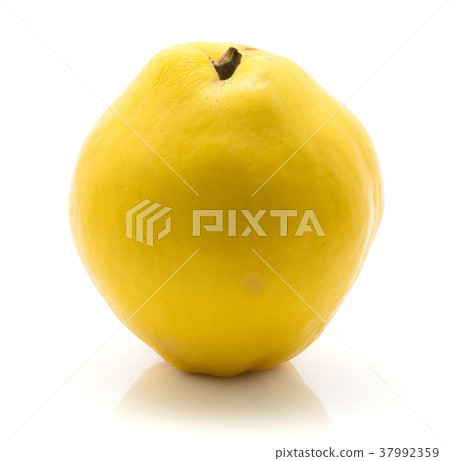 Fresh raw quince isolated on white Fresh raw quince isolated on white 37992359