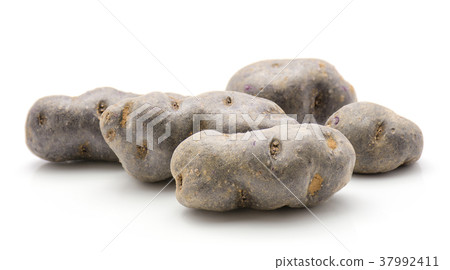 Fresh vitelotte potato isolated on white 37992411