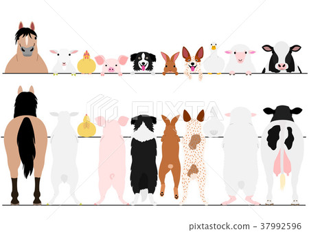 Set of farm animals that got up 37992596