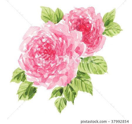 illustration 數字動畫 醫療插圖 37992854