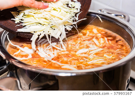 Female hands add chopped cabbage to soup Female hands add chopped cabbage to soup 37993167