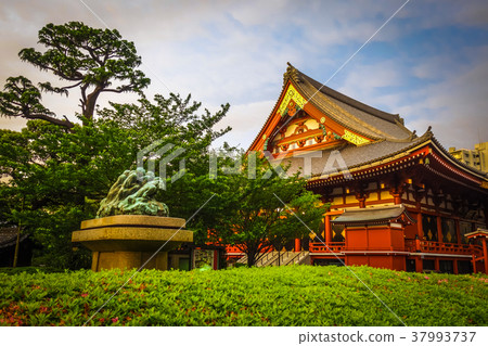 Senso-ji temple Hondo at sunset, Tokyo, Japan 37993737
