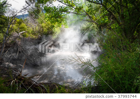 Rotorua hot springs, New Zealand 37993744