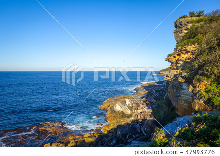 Manly Beach coastal cliffs, Sydney, Australia Manly Beach coastal cliffs, Sydney, Australia 37993776