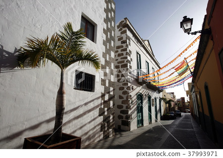 EUROPE SPIAN GRAN CANARY EUROPE SPIAN GRAN CANARY 37993971