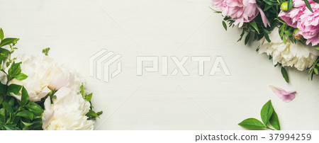 Flat-lay of peony flowers over white background Flat-lay of peony flowers over white background 37994259