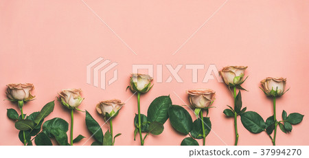 Flat-lay of roses over light pink background, copy 37994270