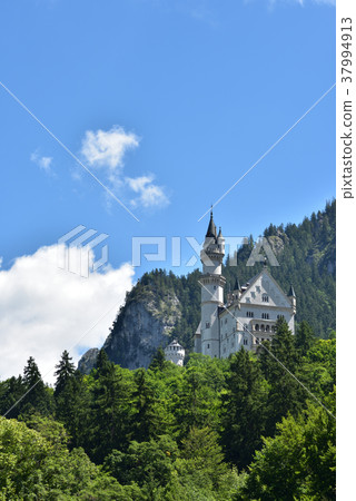 Neuschwanstein Castle Neuschwanstein Castle 37994913