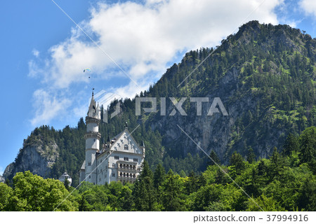 新天鵝堡 37994916