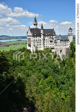 Neuschwanstein Castle Neuschwanstein Castle 37994920