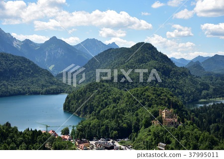 Hohenschwangau Castle 37995011