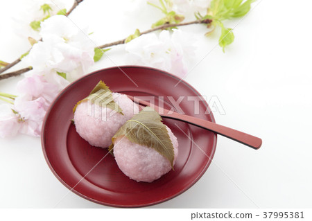 Yae Sakura的Doemy寺廟 37995381